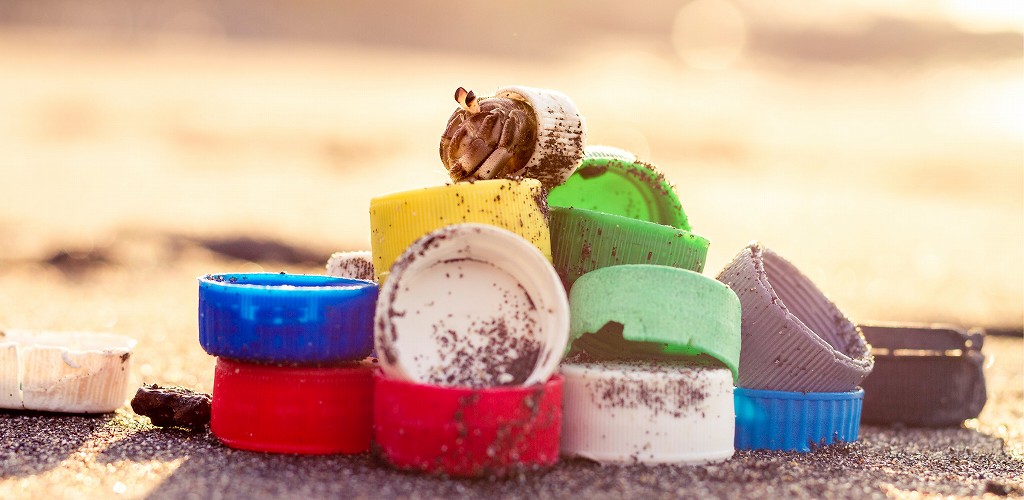 hermit crab using a virtual office